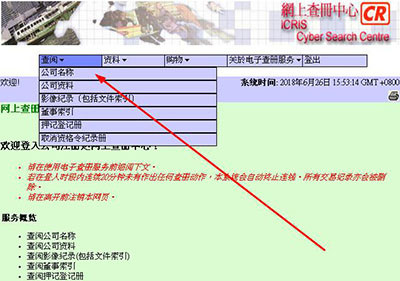 香港公司注册处可查资料.jpg